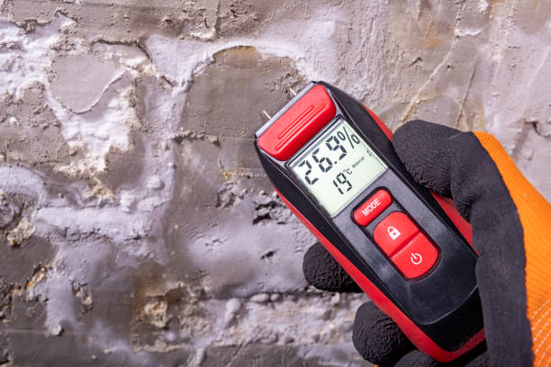 Best Toxic Mold Removal  in Lakes Of The Four Seasons, IN