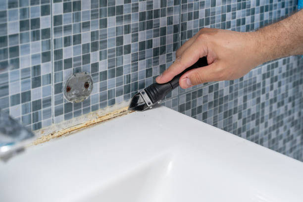Best Mold Testing  in Lakes Of The Four Seasons, IN